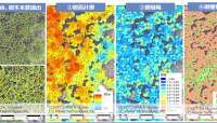産学官連携による衛星データを活用した森林経営支援とカーボンクレジット発行事業の技術実証を開始